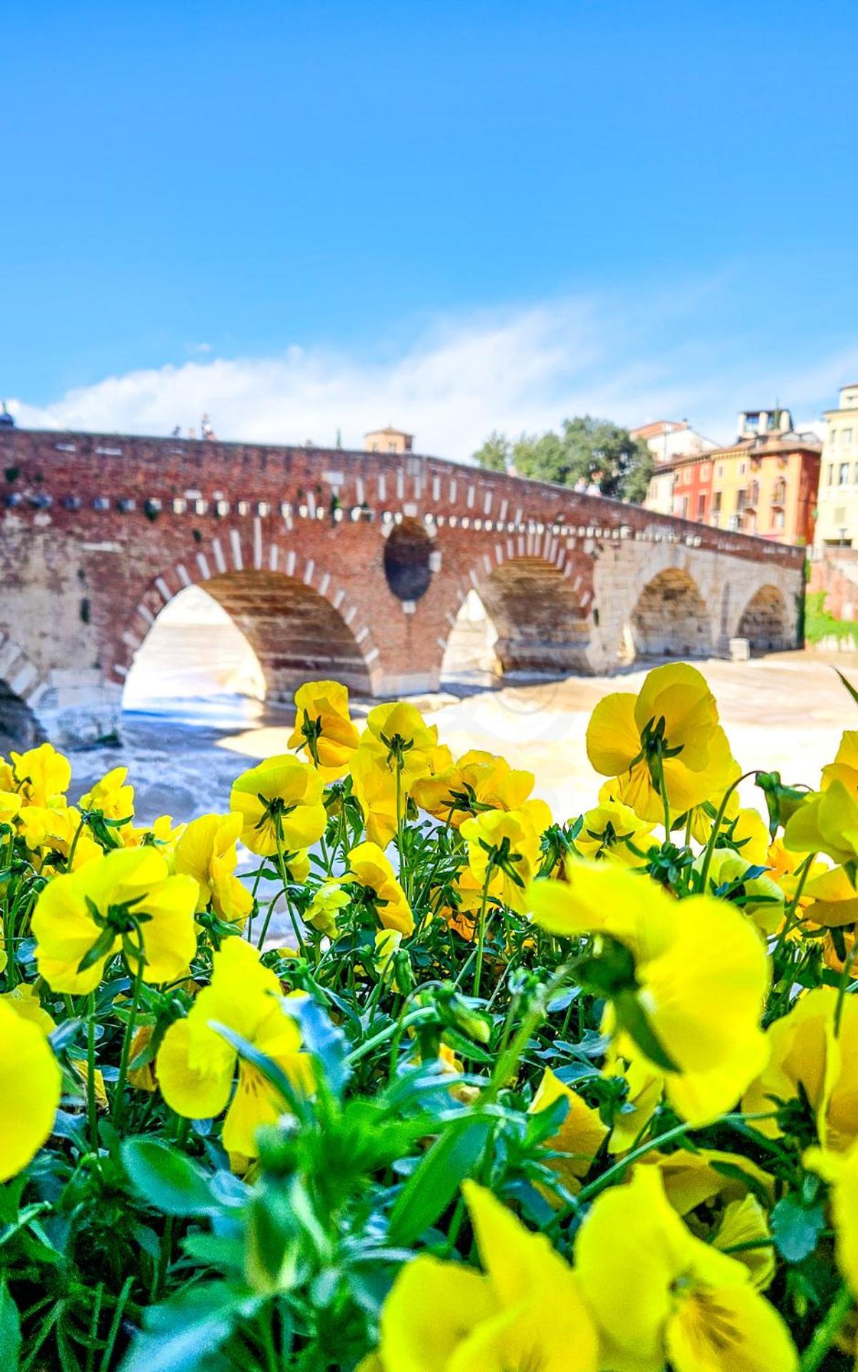 Verona All Seasons Buitenkant foto